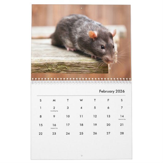 Pet Rats Wall Agenda Kalender (Feb 2026)