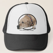 Pet Rhodesian Ridgeback Dog Afbeelding (Voorkant)