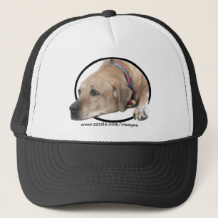 Pet Rhodesian Ridgeback Dog Afbeelding