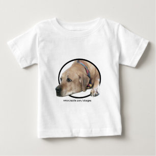 Pet Rhodesian Ridgeback Dog Afbeelding