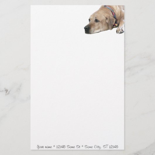 Pet Rhodesian Ridgeback Dog Afbeelding Briefpapier (Voorkant)
