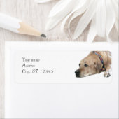 Pet Rhodesian Ridgeback Dog Afbeelding Etiket (Insitu)