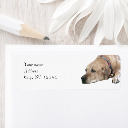 Pet Rhodesian Ridgeback Dog Afbeelding Etiket (Insitu)