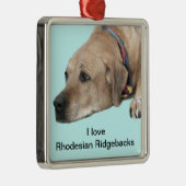 Pet Rhodesian Ridgeback Dog Afbeelding Metalen Ornament (Rechts)