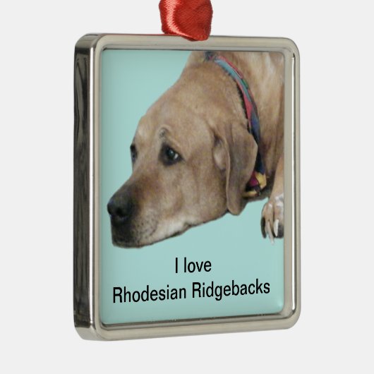 Pet Rhodesian Ridgeback Dog Afbeelding Metalen Ornament (Rechts)