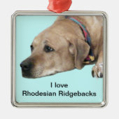 Pet Rhodesian Ridgeback Dog Afbeelding Metalen Ornament (Voorkant)