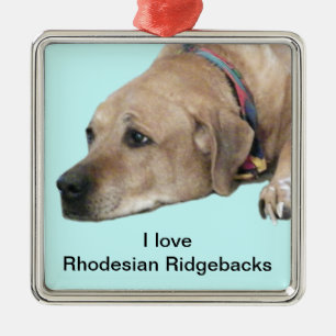 Pet Rhodesian Ridgeback Dog Afbeelding Metalen Ornament