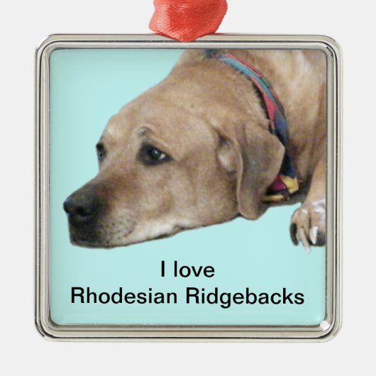 Pet Rhodesian Ridgeback Dog Afbeelding Metalen Ornament (Voorkant)
