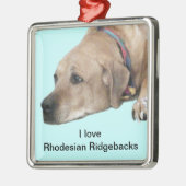 Pet Rhodesian Ridgeback Dog Afbeelding Metalen Ornament (Links)
