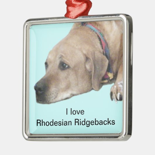 Pet Rhodesian Ridgeback Dog Afbeelding Metalen Ornament (Links)