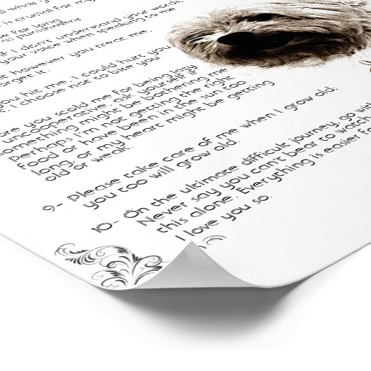 Pet Rules - JoJo-Poster Poster (Hoek)