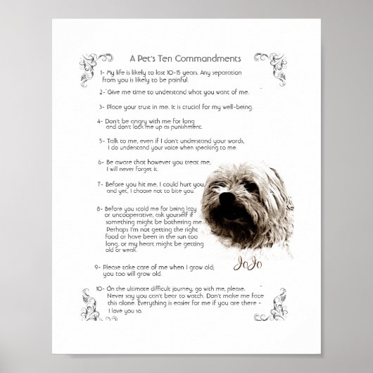 Pet Rules - JoJo-Poster Poster (Voorkant)