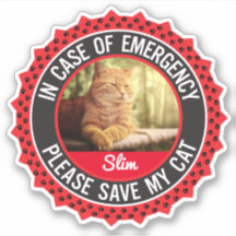 Pet Safety Alert In Hoesje van Emergency Cat Kitte