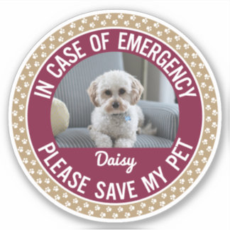 Pet Safety Alert met veranderlijke kleuren Sticker
