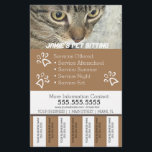 Pet Services Business Dog Tear Off Strips Flyer B<br><div class="desc">Moderne brochure voor gezelschapsdieren</div>