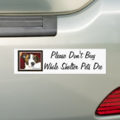 Pet Shelters Bumpersticker (Op auto)