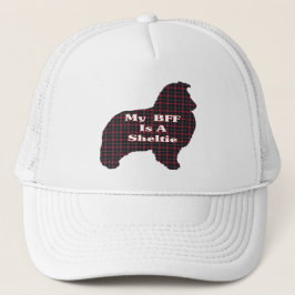 Pet Shetland Sheepdog BFF