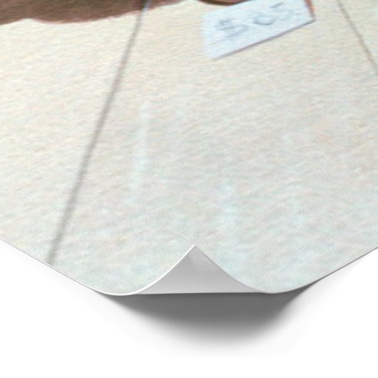 Pet Shop 1990 Poster (Hoek)