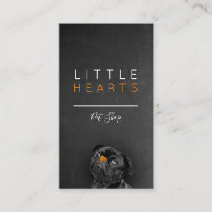 Pet Shop/Pet Care Services/Sitting Services Visitekaartje