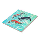 Pet Shrimp Hobby Cherry Blue Crystal Red Turquoise Tegeltje (Zijkant)