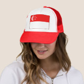 Pet Singapore-vlag (In situ)