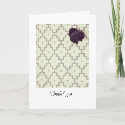 Pet Sitter Bedankkaart (Voorkant)