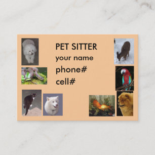 PET SITTER VISITEKAARTJE