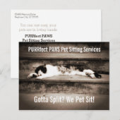 Pet Sitting Business met Tuxedo Cat op stappen Briefkaart (Voorkant / Achterkant)