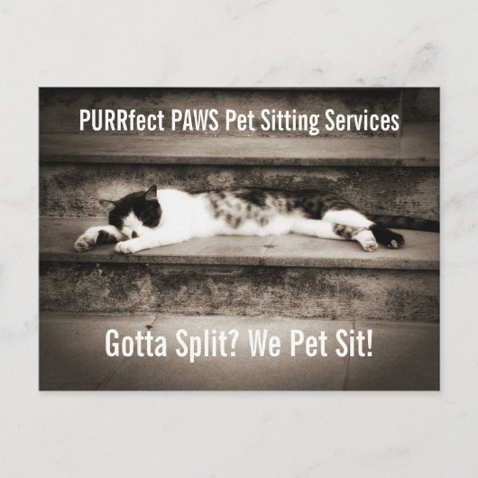 Pet Sitting Business met Tuxedo Cat op stappen Briefkaart (Voorkant)