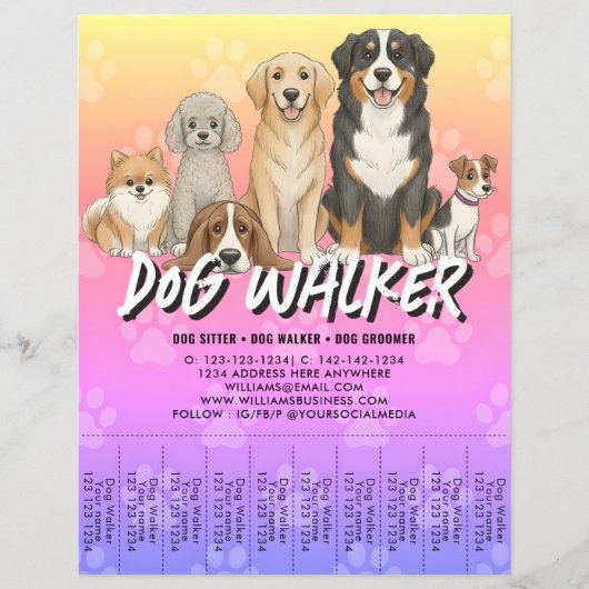 Pet Sitting Dog Walker Custom Promotional Vibrant Flyer (Voorkant)