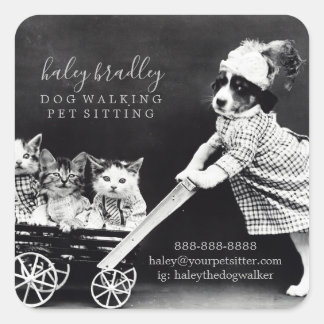 Pet Sitting Grooming Services Vierkante Sticker