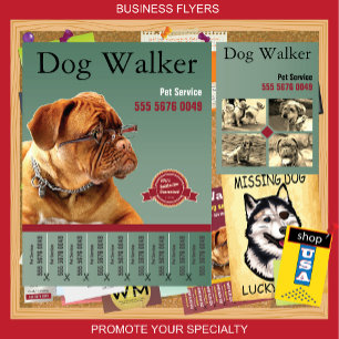 Pet Sitting Service Dog Walker Business Flyer Ad