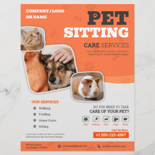 Pet Sitting Services-flyer Flyer
