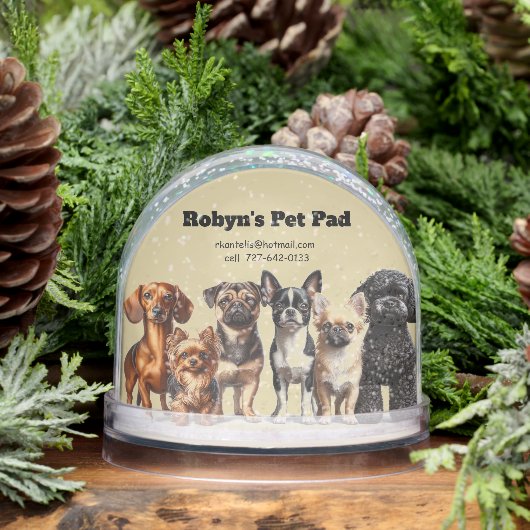Pet Sitting Snow Globe Sneeuwbol (Winter)