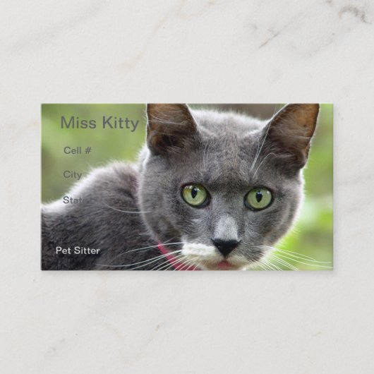 Pet Sitting Visitekaartje (Voorkant)