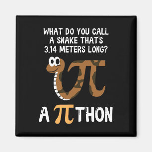Pet Snake Wiskunde Pi Day Python Magneet
