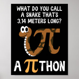Pet Snake Wiskunde Pi Day Python Poster