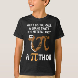 Pet Snake Wiskunde Pi Day Python T-shirt