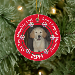 Pet Sneeuwvlok Ondeugend Lijst Kerstmis Keramisch Ornament