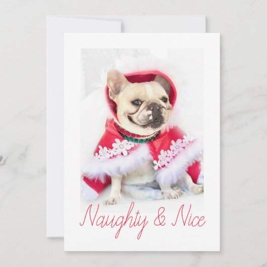 Pet Star | Aangepaste foto van Naughty & Nice Pet Feestdagenkaart (Voorkant)