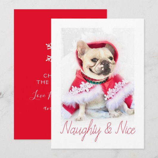 Pet Star | Aangepaste foto van Naughty & Nice Pet  Feestdagenkaart (Voorkant / Achterkant)