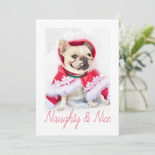 Pet Star | Aangepaste foto van Naughty & Nice Pet  Feestdagenkaart (Staand voorkant)