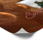 Pet Star Creative Poster (Hoek)