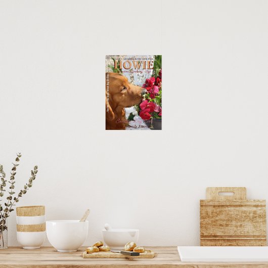 Pet Star Creative Poster (Keuken)