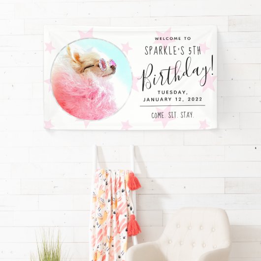 Pet Star | Foto Dog Birthday Party Stars Spandoek (Insitu)