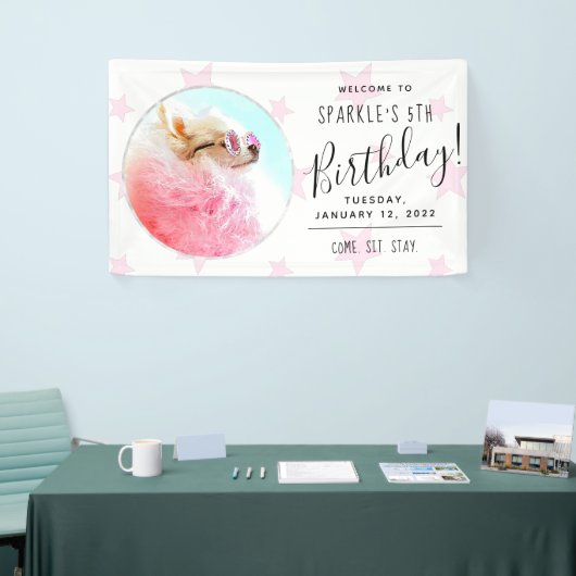 Pet Star | Foto Dog Birthday Party Stars Spandoek (Beurs)