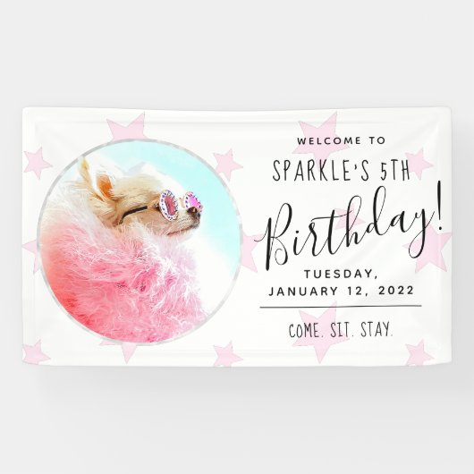 Pet Star | Foto Dog Birthday Party Stars Spandoek (Horizontaal)