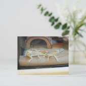 Pet Store hagedissen Briefkaart (Staand voorkant)