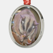 Pet Sugar Glider Metalen Ornament (Links)