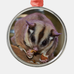 Pet Sugar Glider Metalen Ornament
